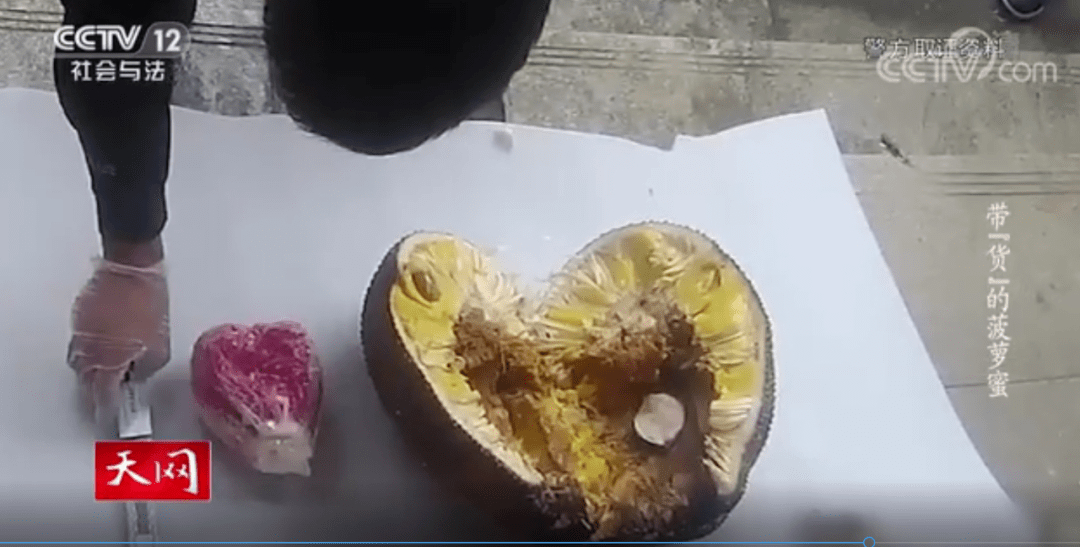 【我为群众办实事】缉毒现场:"带货"的菠萝蜜