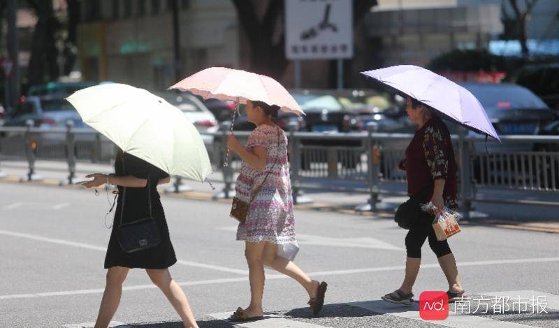 高温|中暑掐人中、喝藿香正气水、猛喝水？这些都不对！