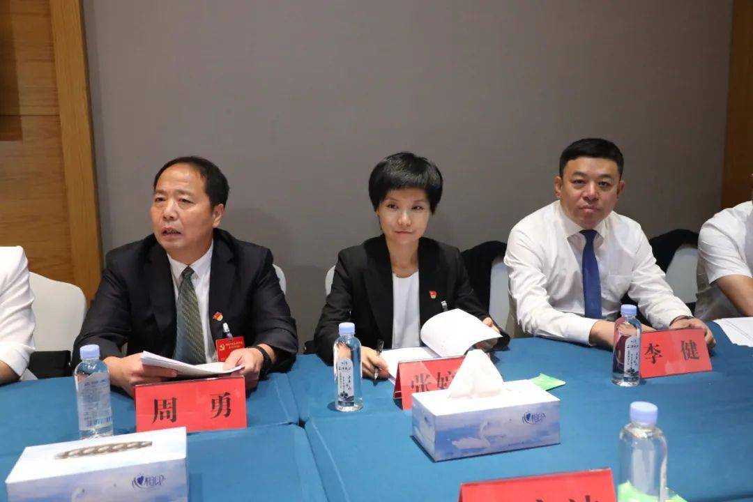 王鸿飞,张婷婷和与会代表共同审议区委工作报告