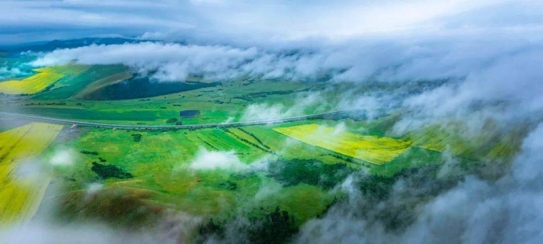 漫山遍野黄灿灿金波荡漾云天外
