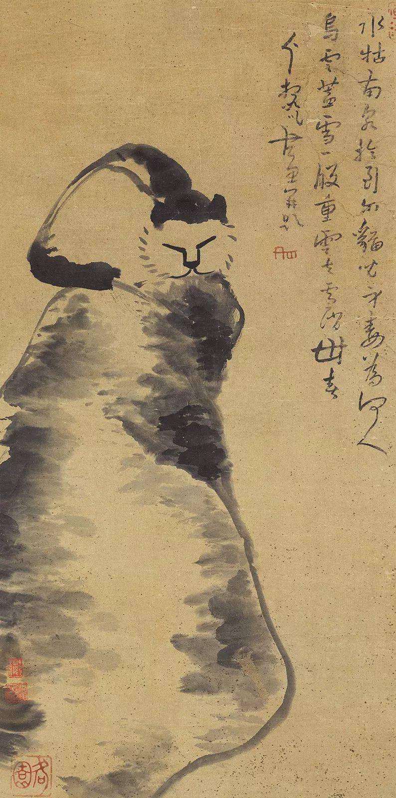 八大山人画的这些猫,你见过吗?