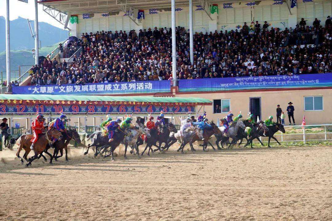 中华民族大赛马·若尔盖县黄河河曲马第九届安多赛马大会开赛
