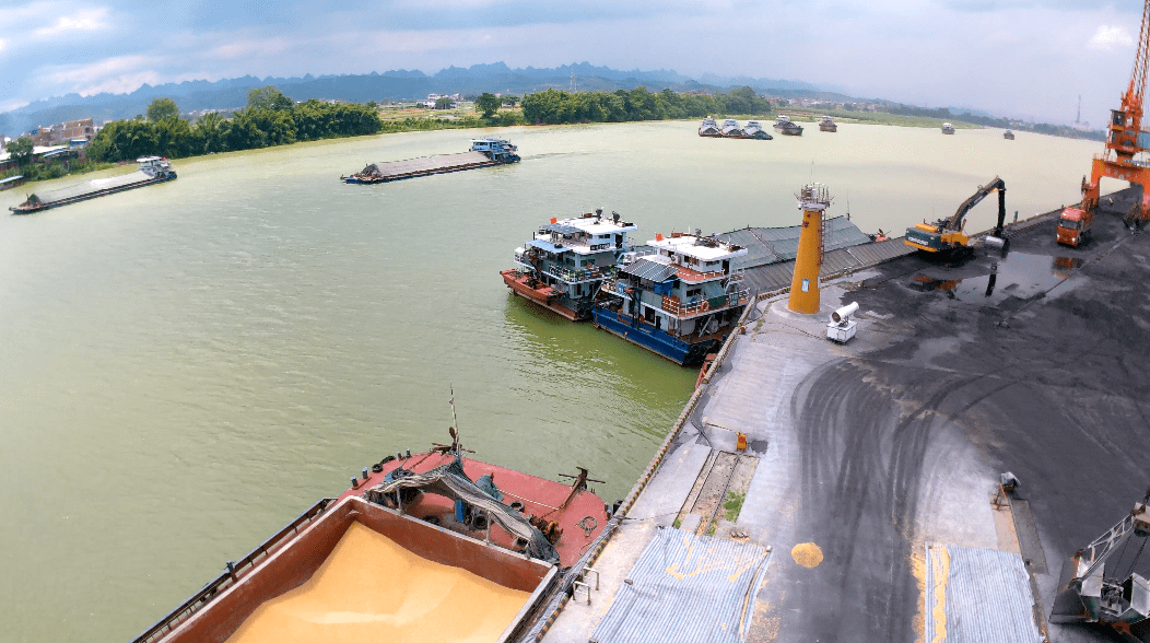 党史学习教育 | 右江红军码头 百色起义精神永继_红色