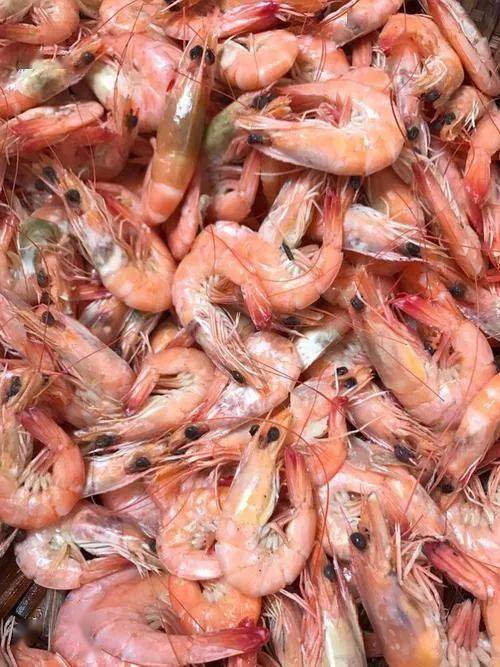 清蒸泥虾泥虾入口甜嫩略略带脆,那种清新的味道不是一般河虾能相比的