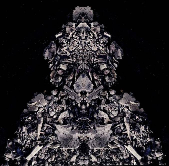 问题|“选择”摄影奖（第一届）揭晓 | 张兰坡：作品的核心生命