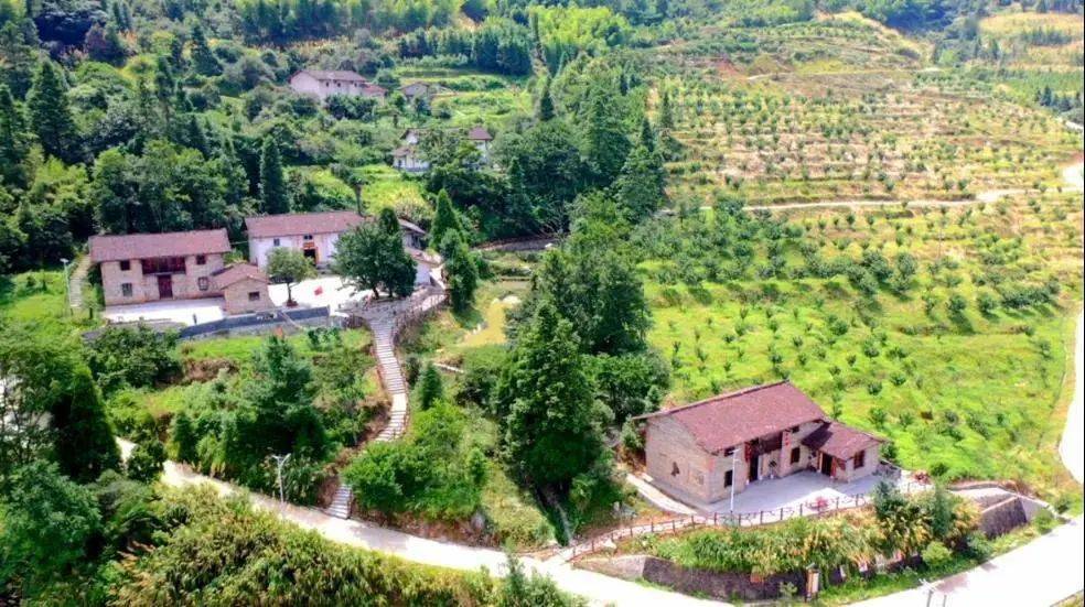 桃源盛景,永丰县上溪乡黄桃串起农旅融合