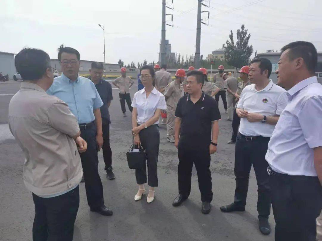 现场调研后,市政府王瑞副市长组织召开了座谈会,市工信局,市生态环境