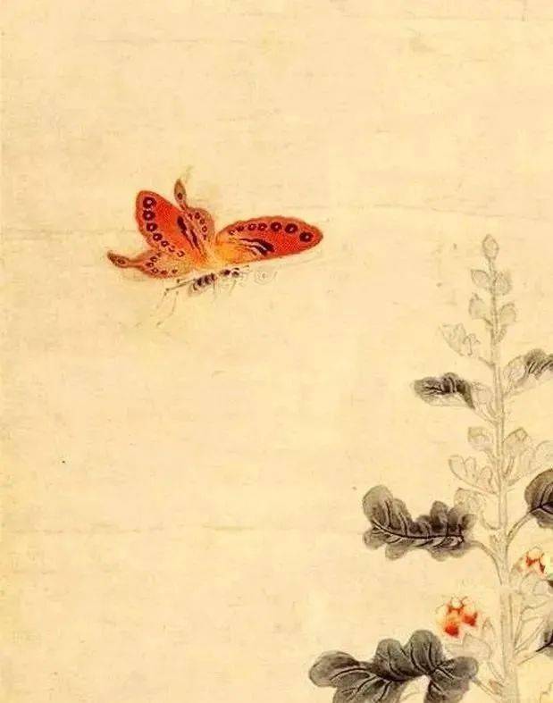 工笔花蝴蝶35图，美成了百花仙子！_滕派蝶