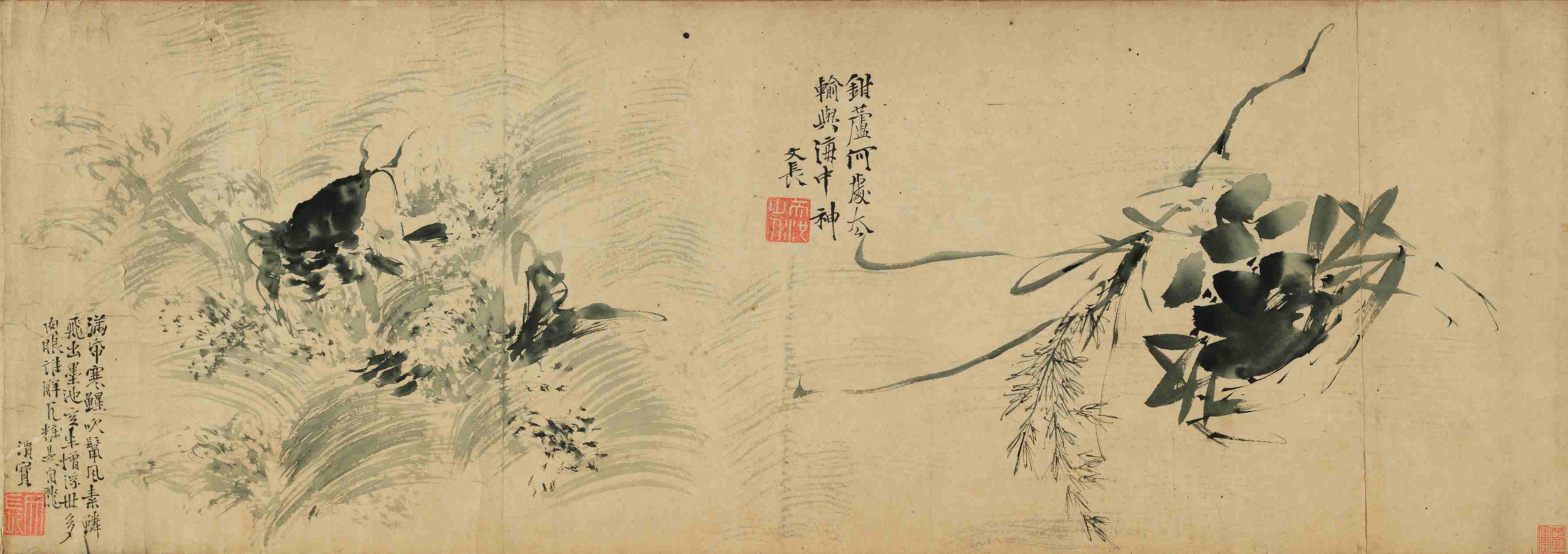 回望徐渭又见青藤徐渭诞辰500周年徐渭艺术馆开展