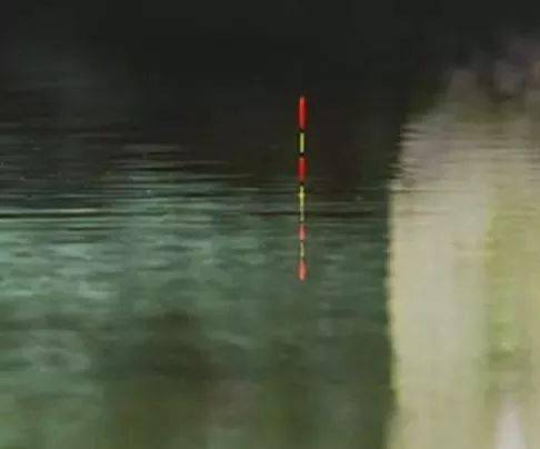 be05a95a2d3541d1a18e6c0779e3fa51.jpeg