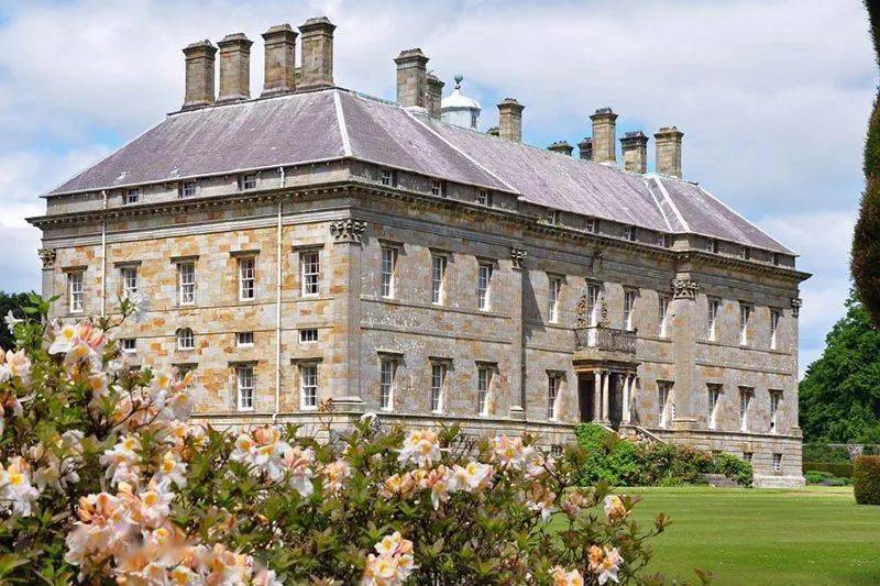 苏格兰花田大赏美得让人窒息