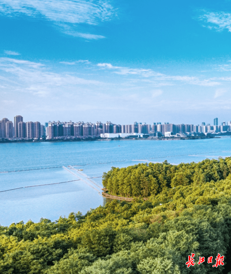 7月27日至8月1日天气预报