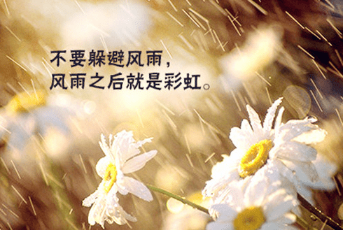 最近很火的心情文案,简短精湛,拿去发朋友圈_生活