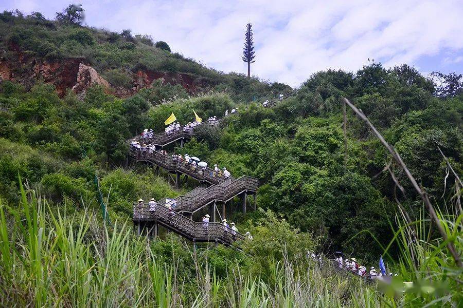 山好 水好 人好！嘉宾盛赞玉溪美