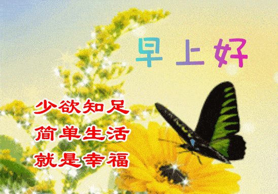 548_382gif 动态图 动图