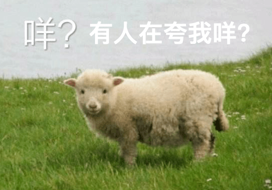 老师傅|先被老公笑一顿，然后被狂夸！最近买它聪明啊！！！
