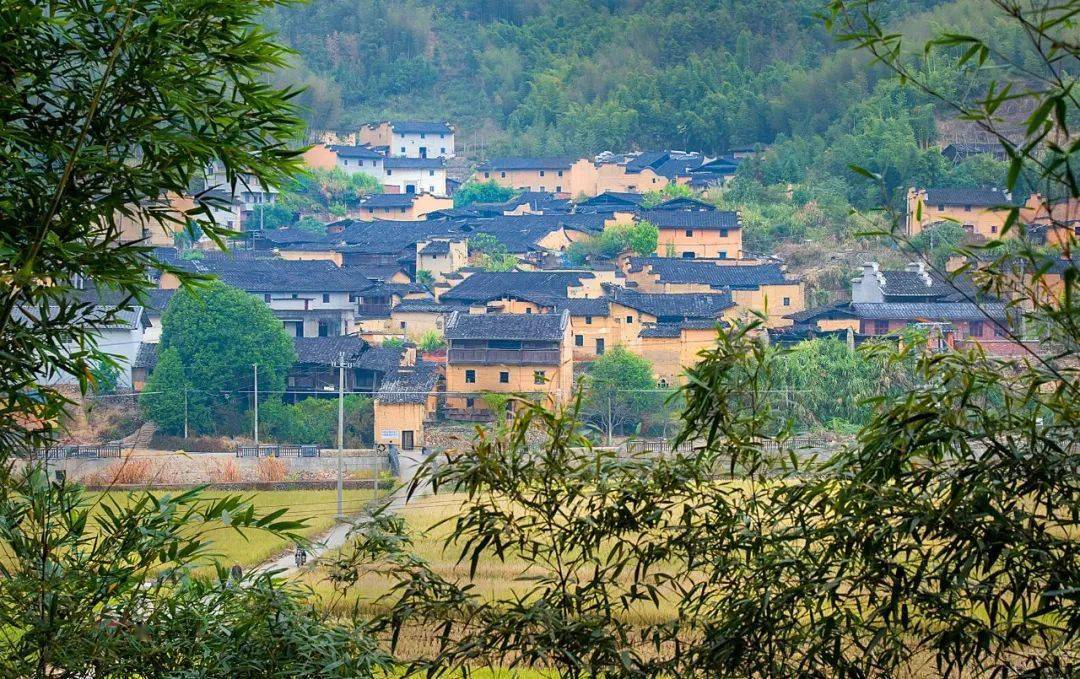 【喜迎党代会·先锋颂】巨口乡:让山乡旧貌换新颜