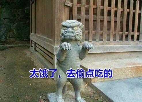 北大的公石狮子被人做绝育了!