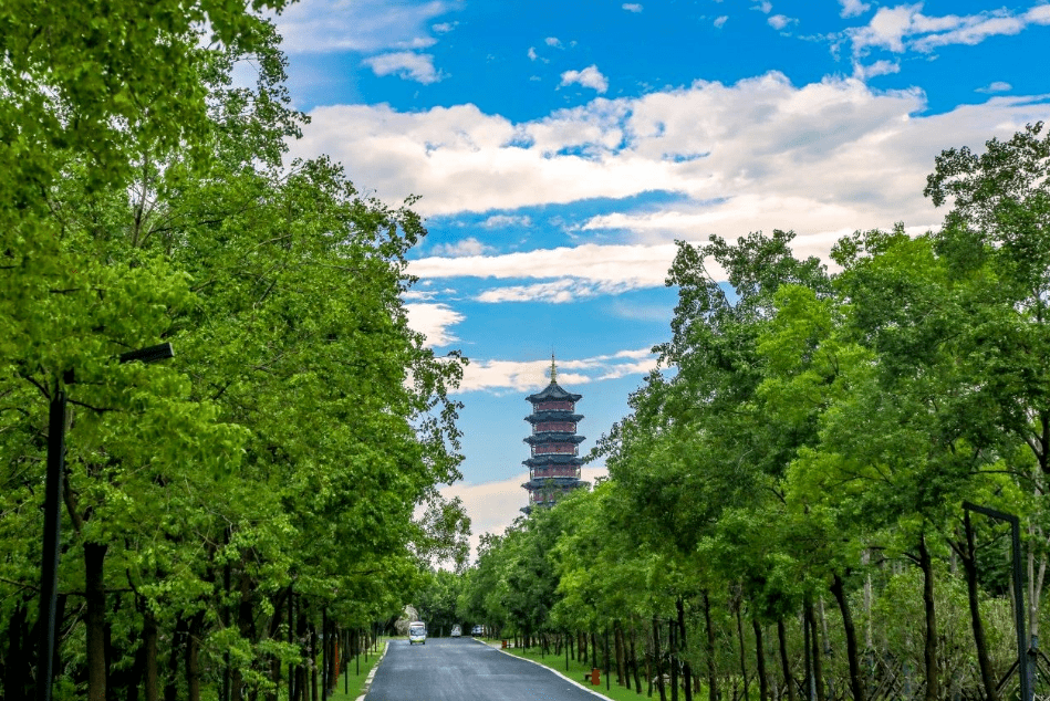 在湖滨，邂逅“低5℃”的夏天！