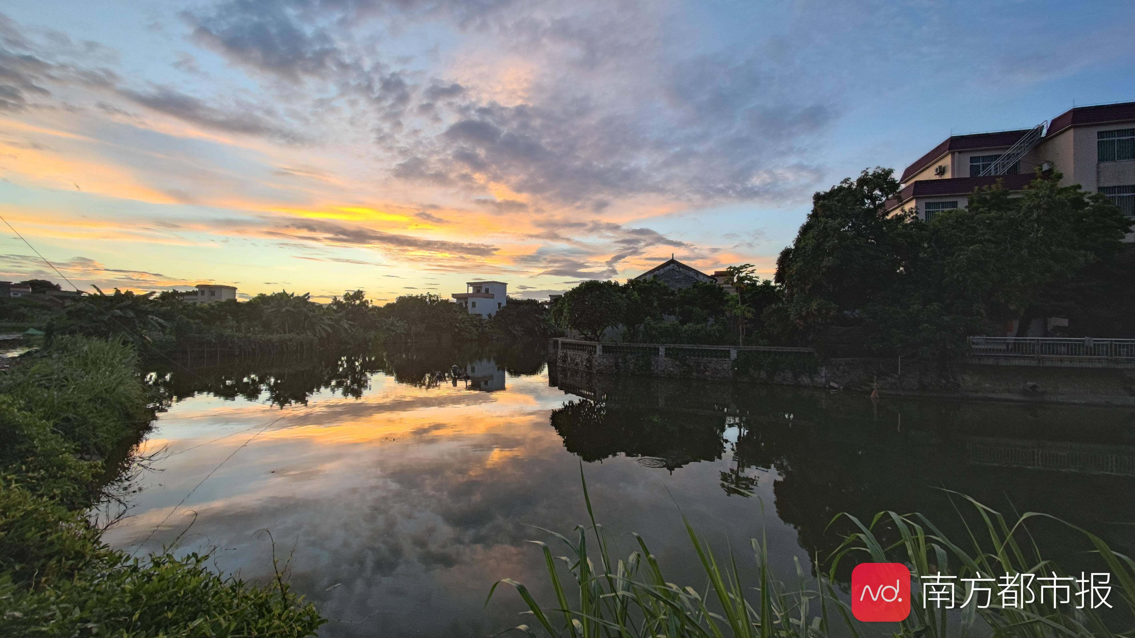 艺术|大湾区里藏小世界，探访古劳水乡里一座可以居住的美术馆