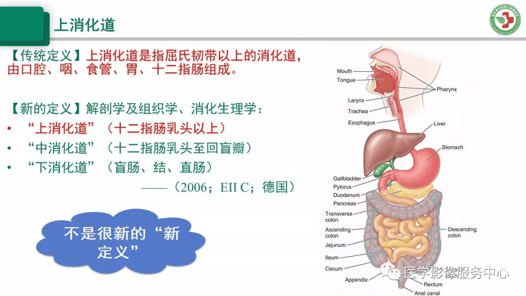 上消化道解剖ppt图片