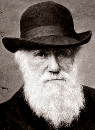 从"问题少年"到生物学家:达尔文用行动证明热爱的力量_物种