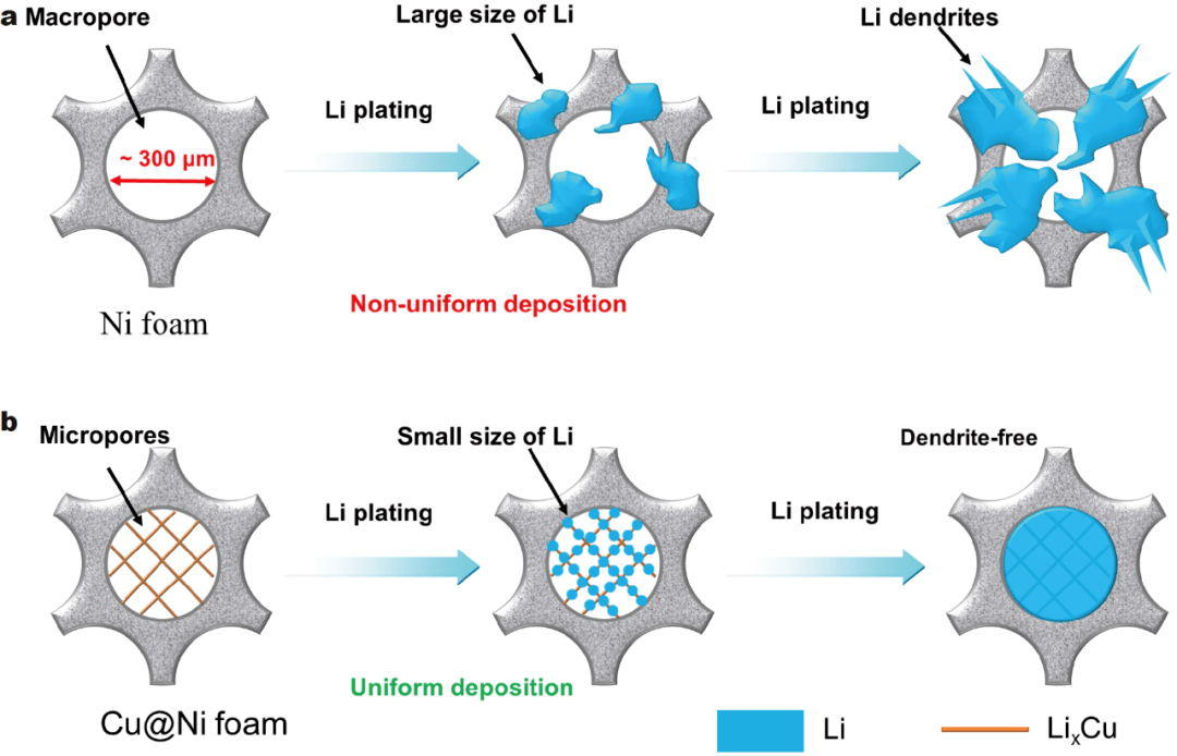scms lixcu合金纳米线嵌套在泡沫镍中实现高度稳定的li金属复合负极