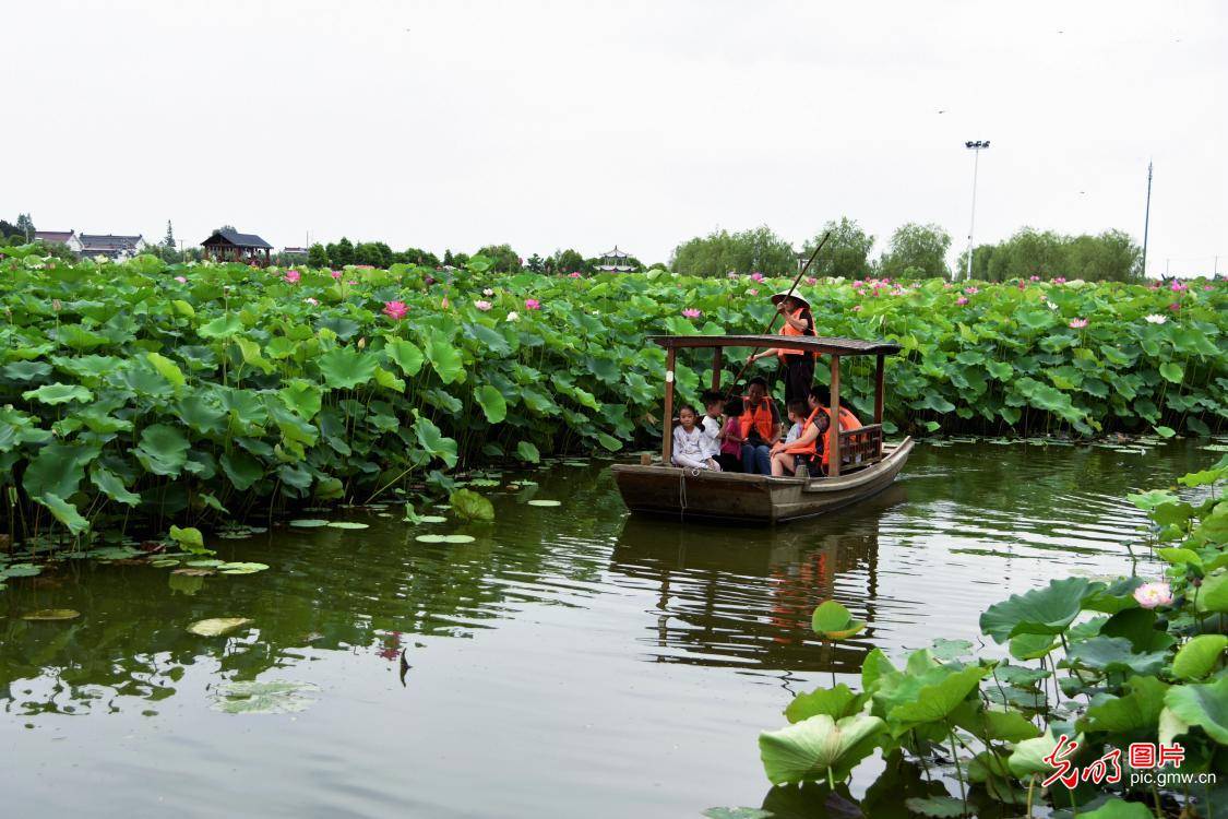 China|Local governments across China promoting integrated development of agriculture and rural tourism