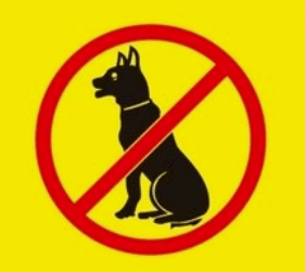天气热宠物躁最近犬猫伤人有点多 接种