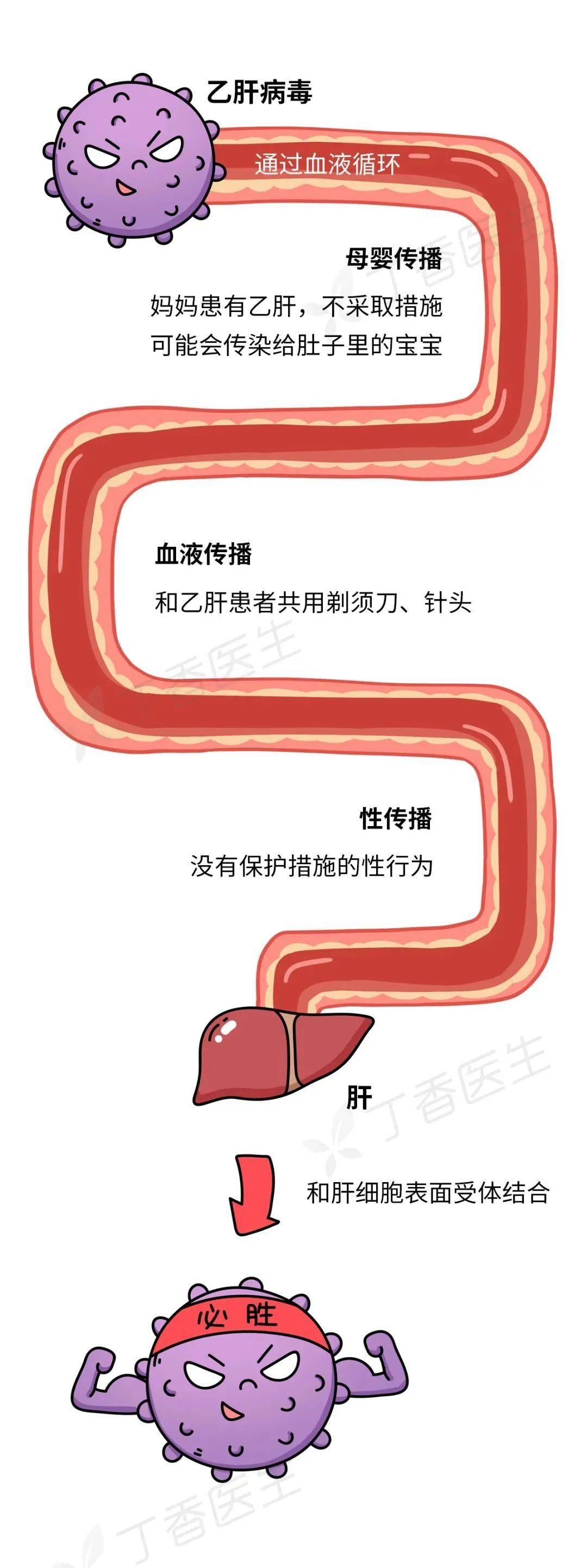 罪魁祸首|我国80%肝癌背后的罪魁祸首，一个办法就能有效预防