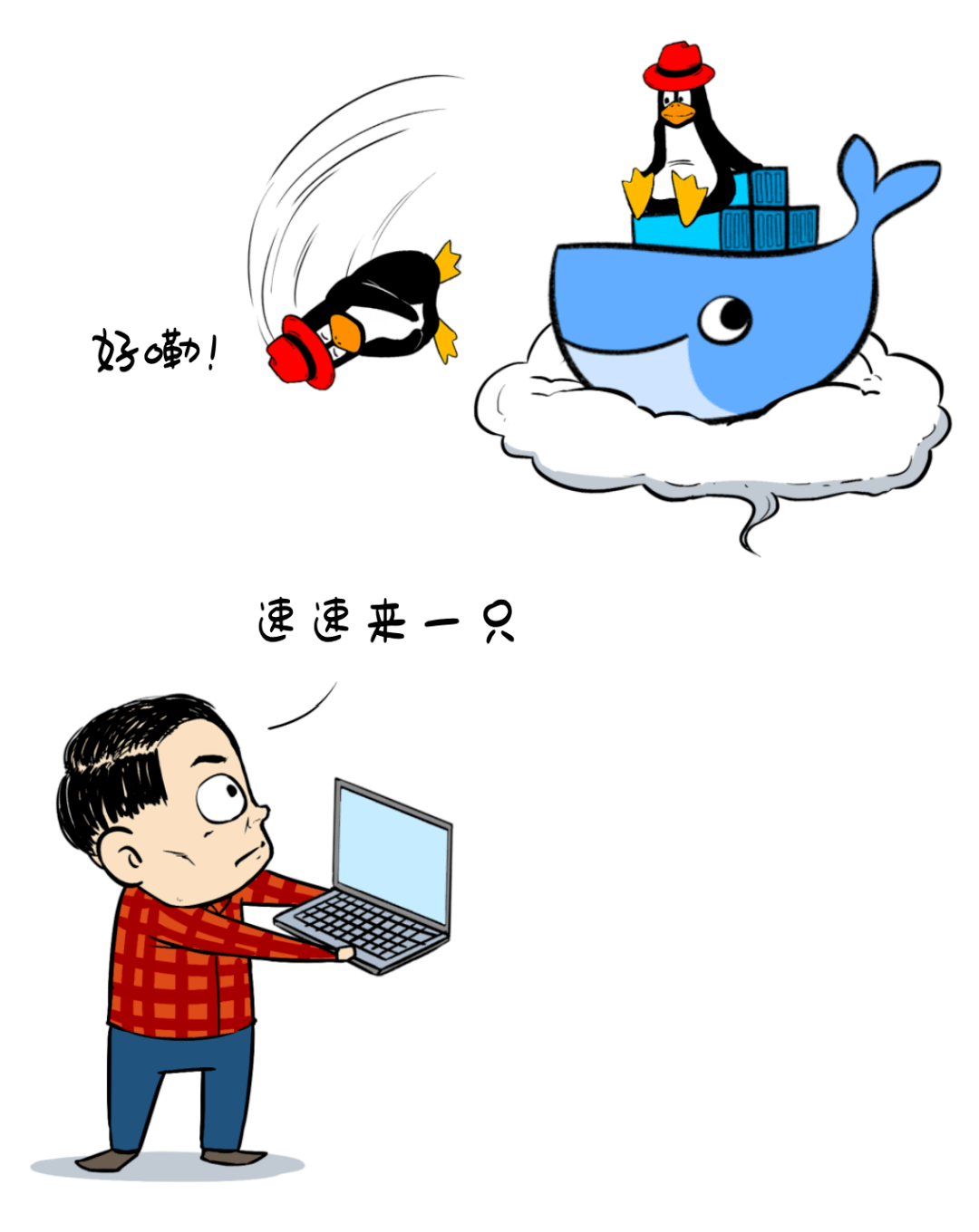 这个镜像被发布在docker hub上,用户可以直接拖下来,一键构建自己的