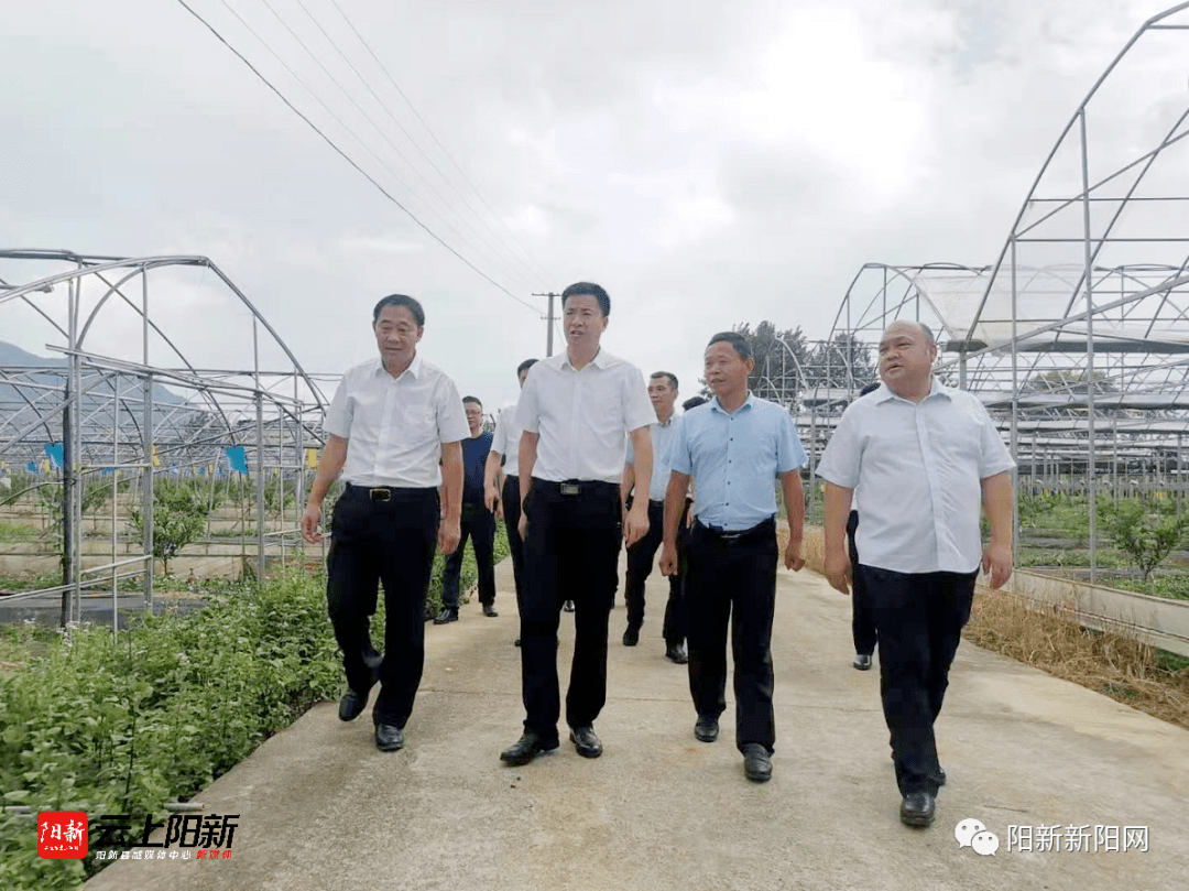 调研万鼎调研黄石国家农业科技园区建设