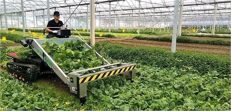 跑在世界前列的现代农业新模式有哪些?_科学技术