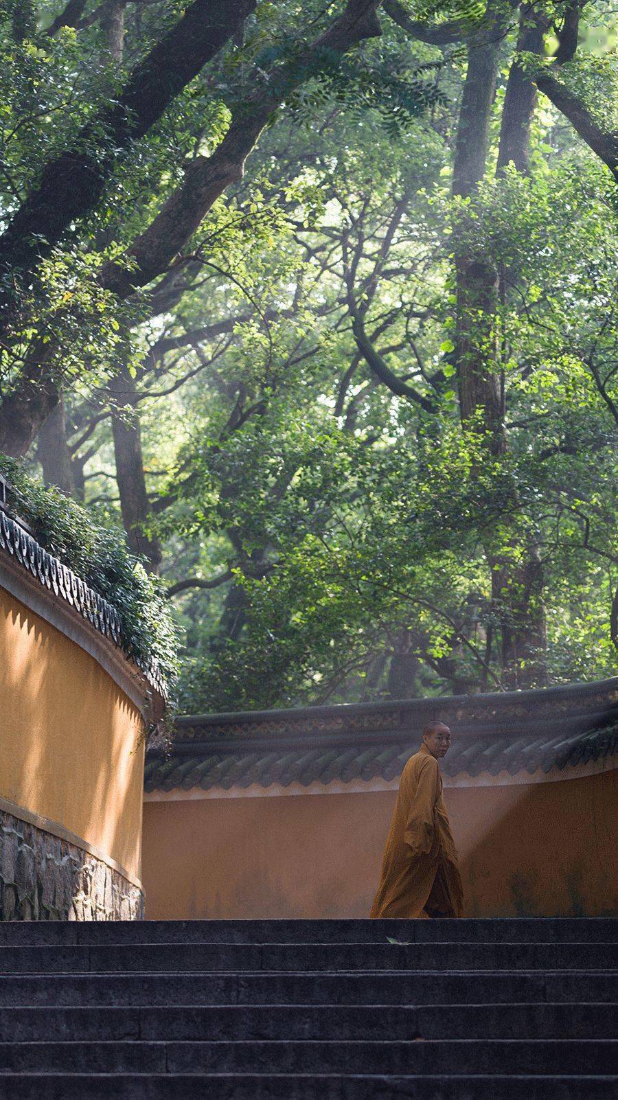 96年小伙未成年就出家还当上了和尚摄影师他的作品张张富有禅意