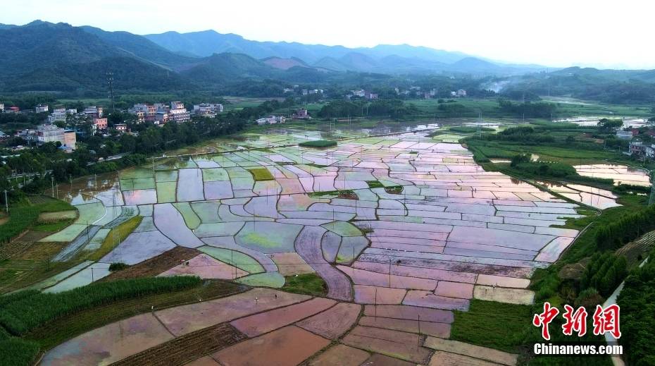 上思县全景图图片