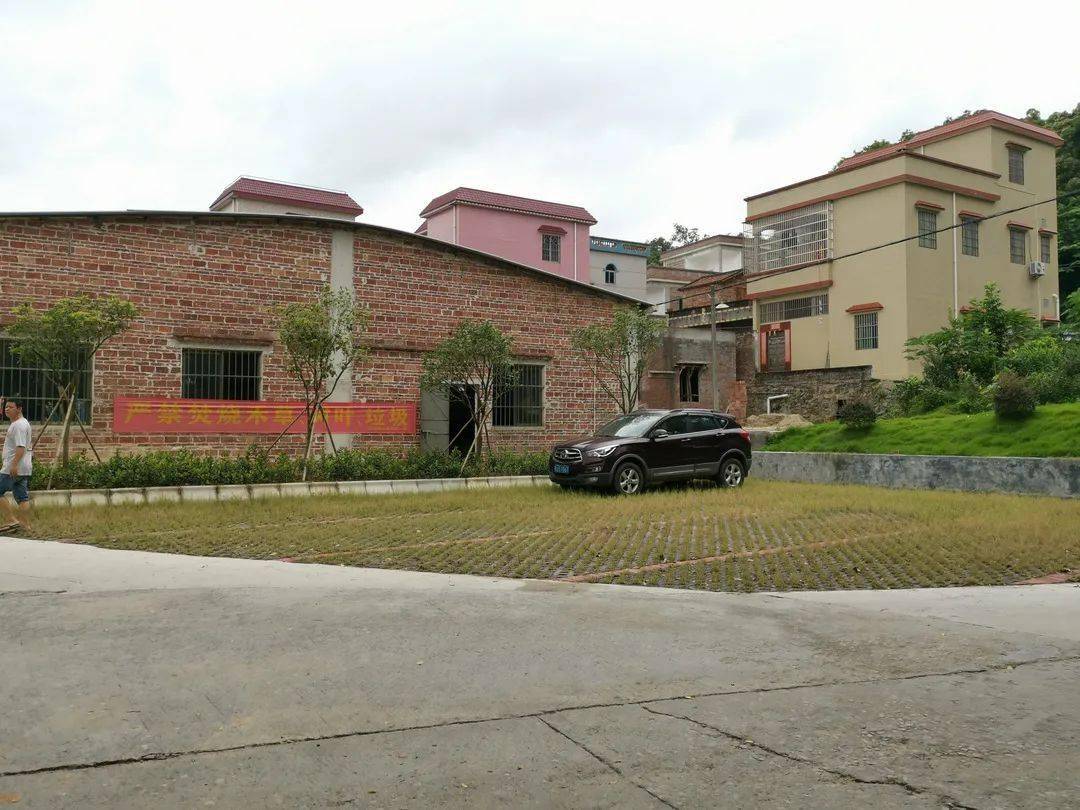 桃源镇富岗村这样做让村民出行更放心停车更方便