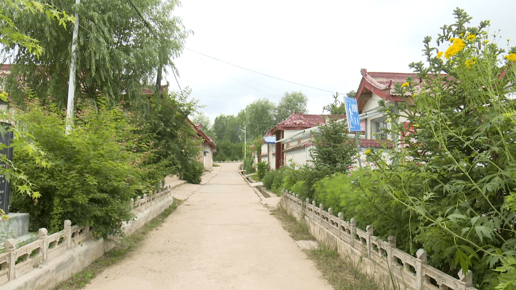 环境整治进行时山寨乡刘河村人居环境整治不停歇增颜值惠民生