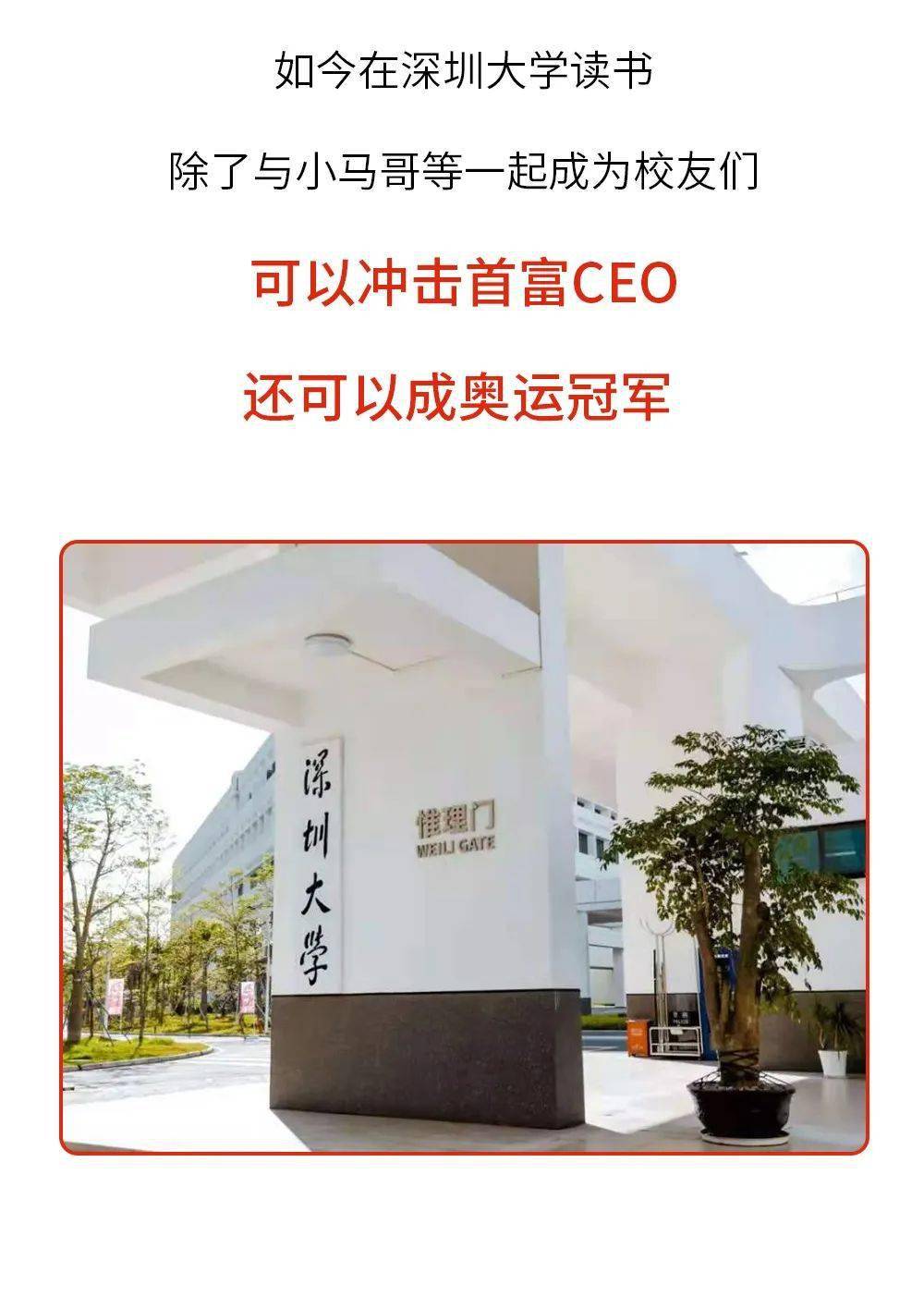 泳池|深大女孩，火了！女乒称霸，泳池夺金......网友：深大YYDS！