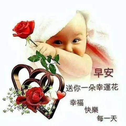 中老年表情包美女动图聊天不用打字带字动图哈喽早晨好朋友是一辈子的