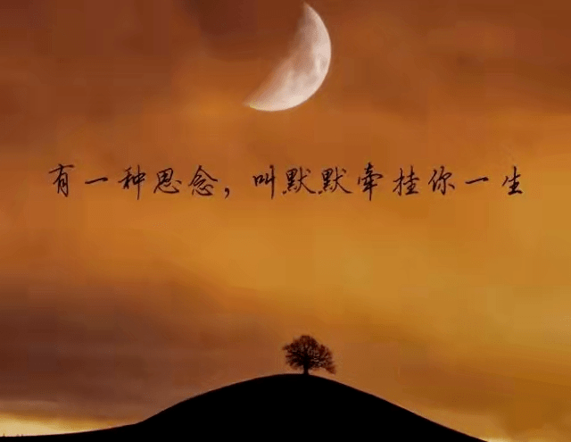 四年情深，半年梦回，分手后梦境中的重逢与内心解析