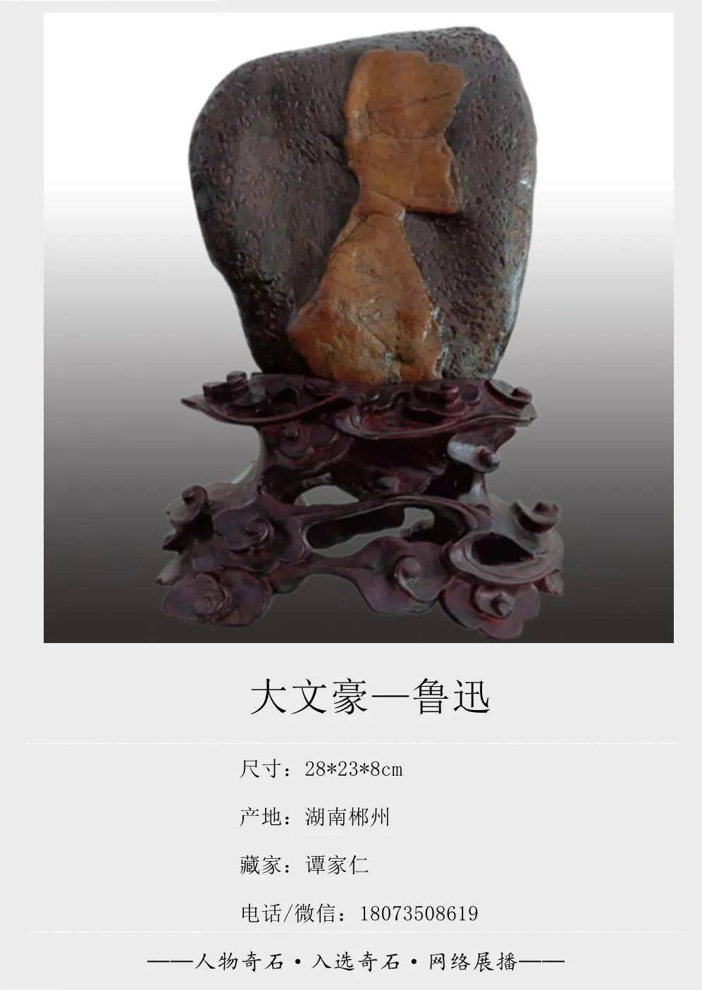 人物奇石展播开始了入展作品登场欢迎观展欣赏