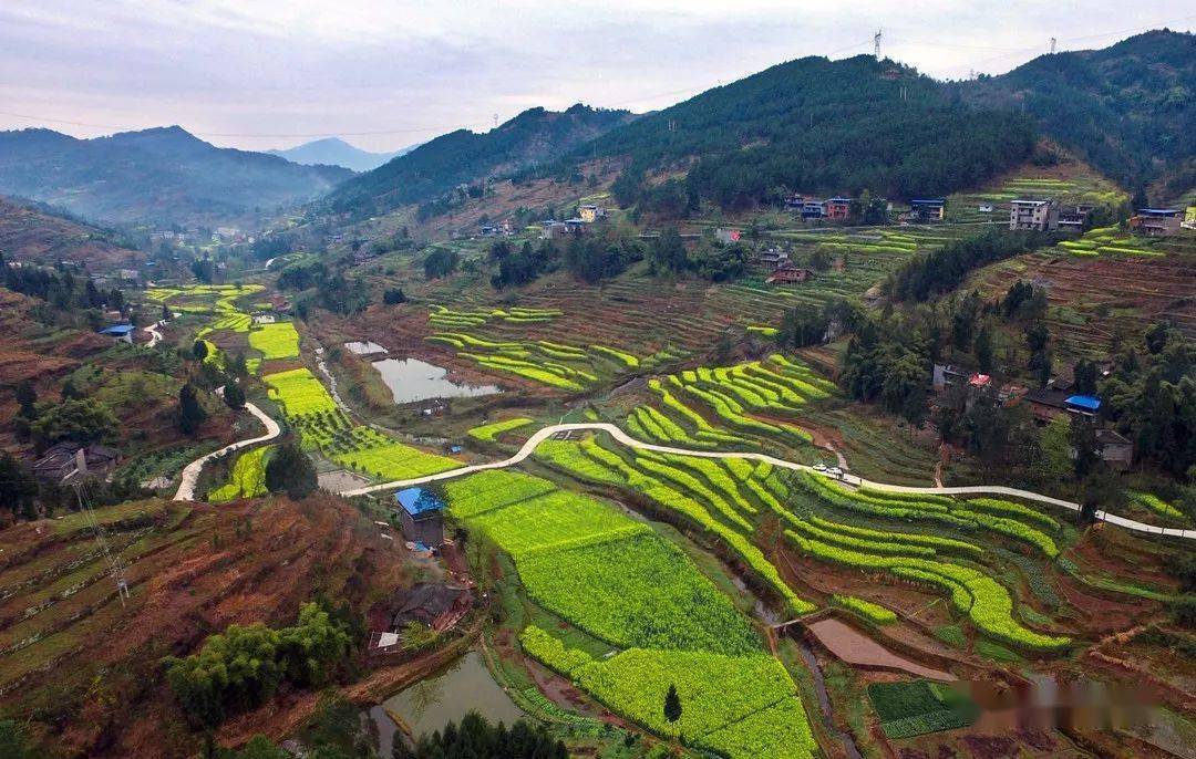 双晒双评南溪镇农业工业环境整治成果