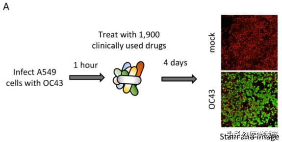 怎样有效降低敏感度 ea15f23db4584bc2bce977bb24ef0db3.png