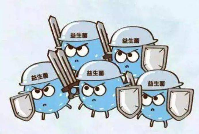 【健康科普】解密神奇的益生菌