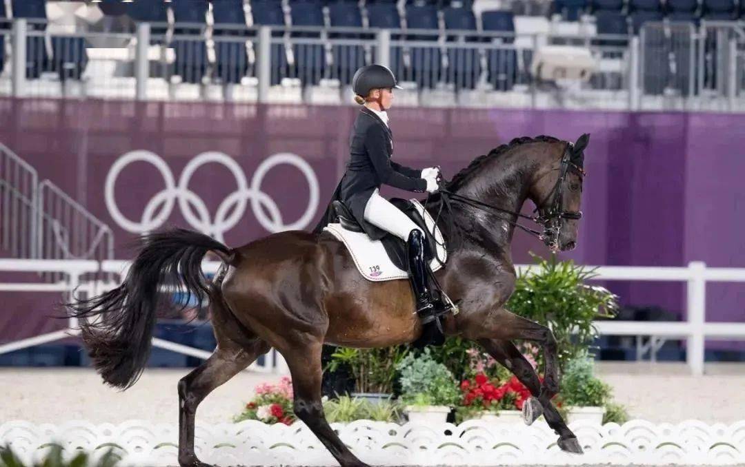 赛事东京奥运会盛装舞步精彩瞬间