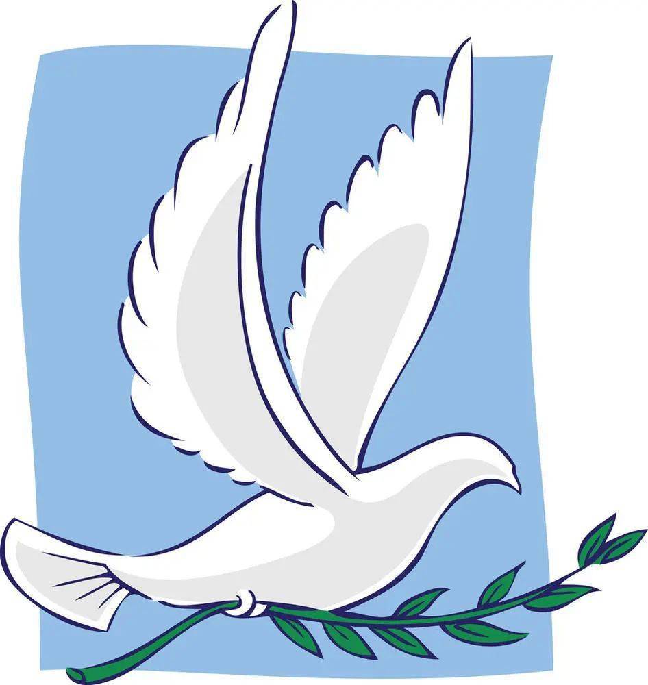 开幕式为什么不放鸽子