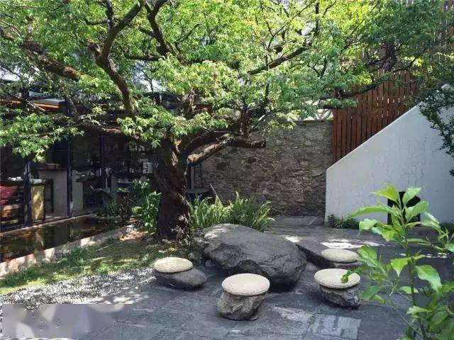 50个中式小院总有你喜欢的一方