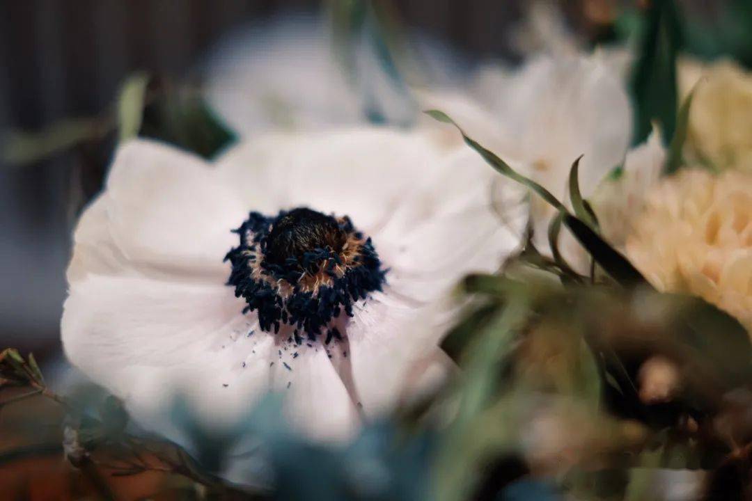 最好的运气是善良 2797a4676c6c48909c21c62c8cfc8772.jpeg