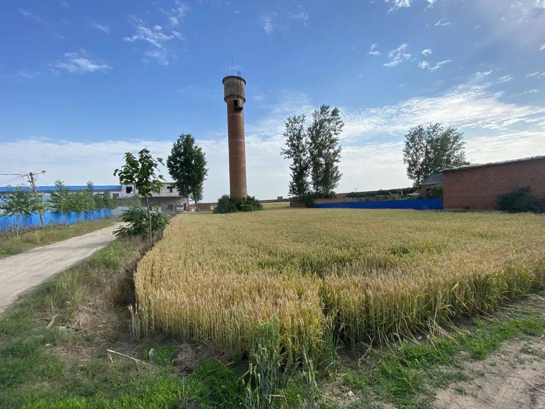 项目回顾丨西华县奉母镇亲子研学项目