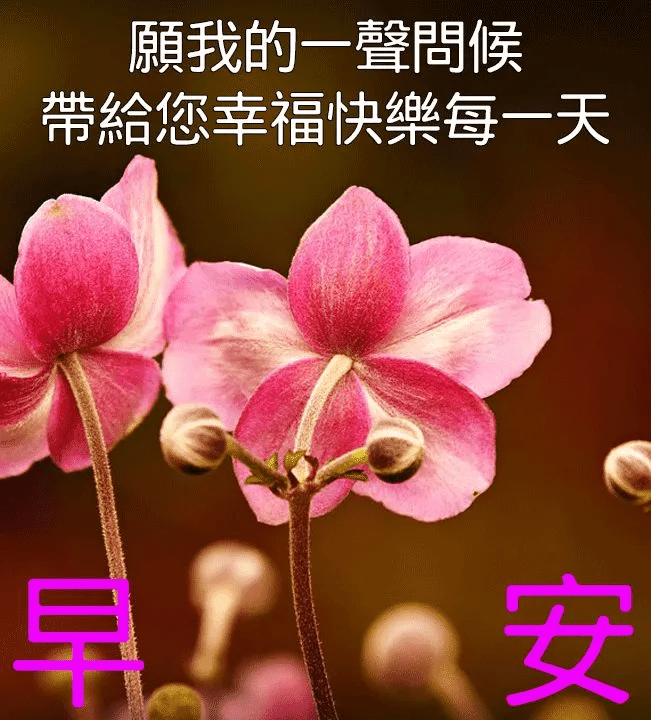 清新的空气,清晰的你,愉快的心情陪伴你!愿你快乐每一天,早安